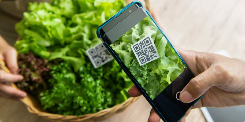 Las etiquetas inteligentes para alimentos pueden ayudar al consumidor a tomar mejores decisiones sobre el uso y eliminación de sus alimentos.